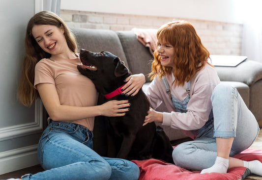 New Pet? Here’s Your Starter Checklist