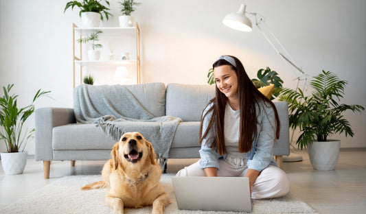 Happy Pets, Happy Home: Creating a Pet-Friendly Space