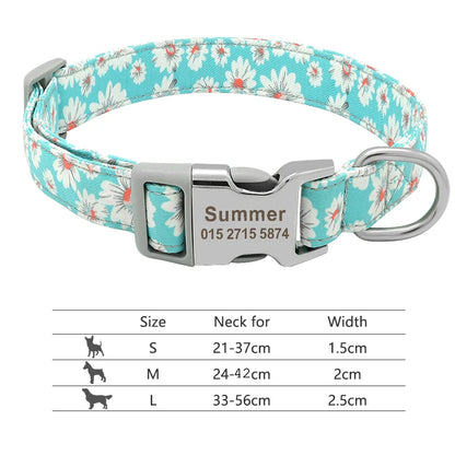 Personalized Nylon Collar