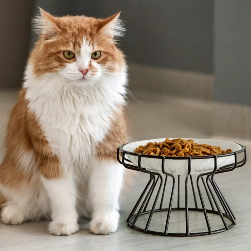 Elevated Ceramic Feeder Bowl