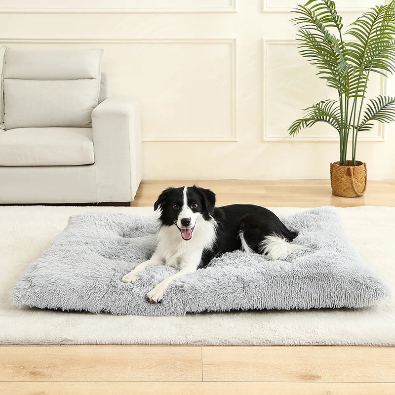 Long Plush Soft Bed