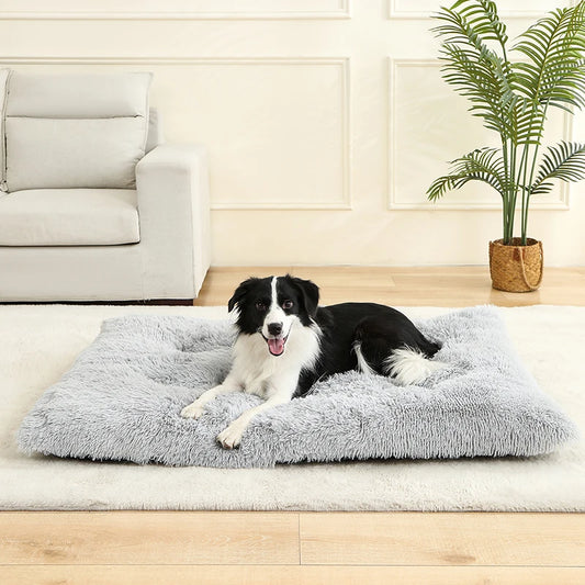 Long Plush Soft Bed