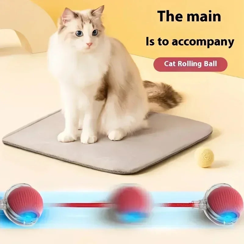 Rechargeable Automatic Rolling Ball Toy