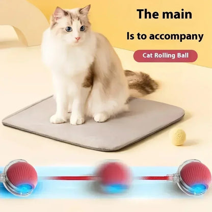 Rechargeable Automatic Rolling Ball Toy