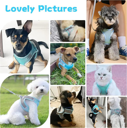 Adjustable Harness Leash Set