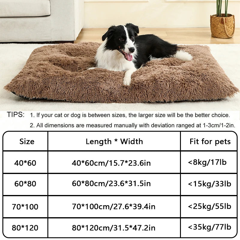 Long Plush Soft Bed