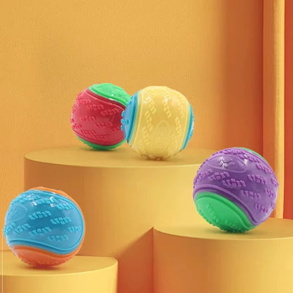 Squeaky Chew Ball