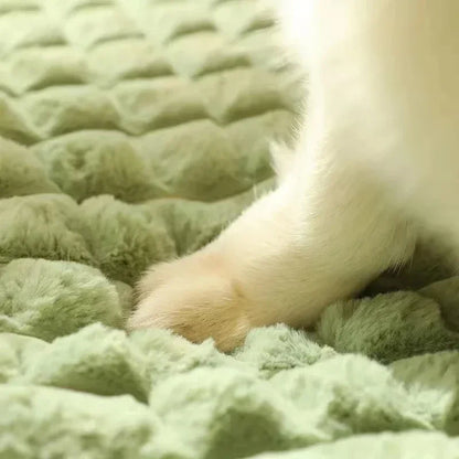 Orthopedic Memory Foam Bed