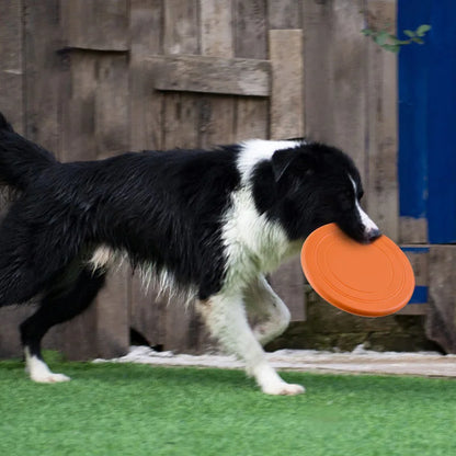 Durable Silicone Flying Disc Toy