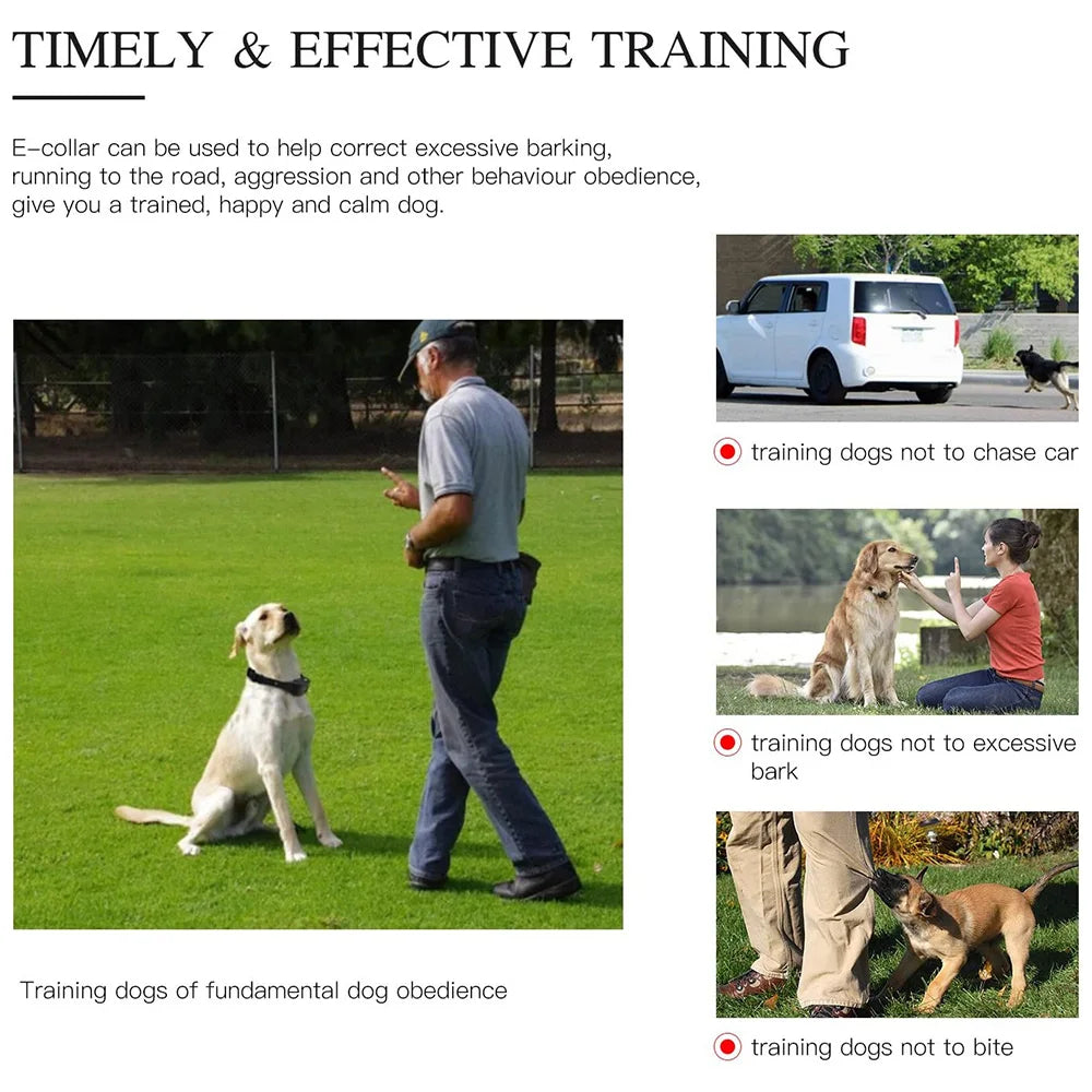 800m Waterproof Training Collar