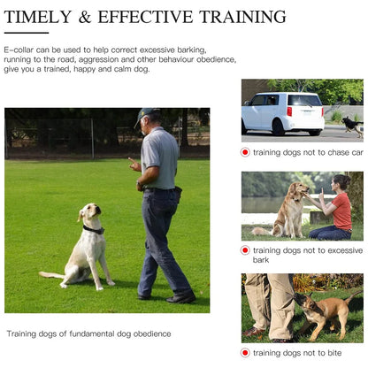 800m Waterproof Training Collar