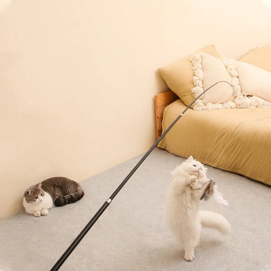 Extra Long Telescopic Wand Toy