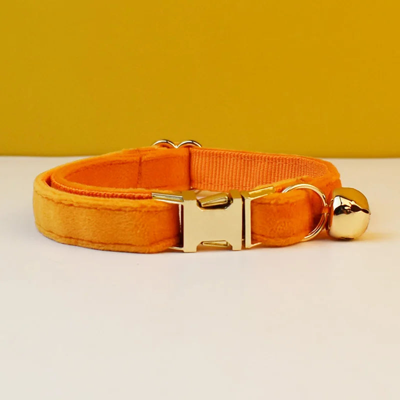 – Personalized ID Tag Collar