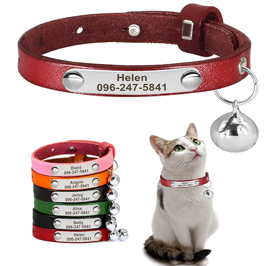 Personalized Leather Collar