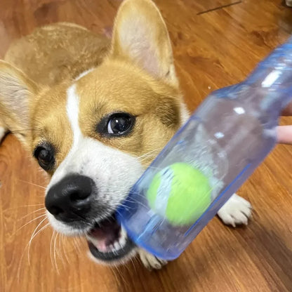 Interactive Beer Bottle Chew Toy