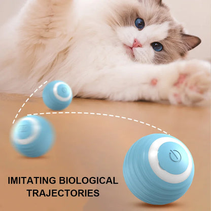 Smart Automatic Rolling Toy