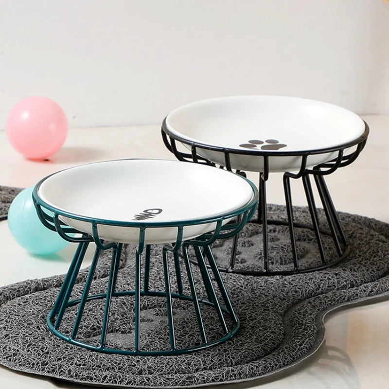 Elevated Ceramic Feeder Bowl