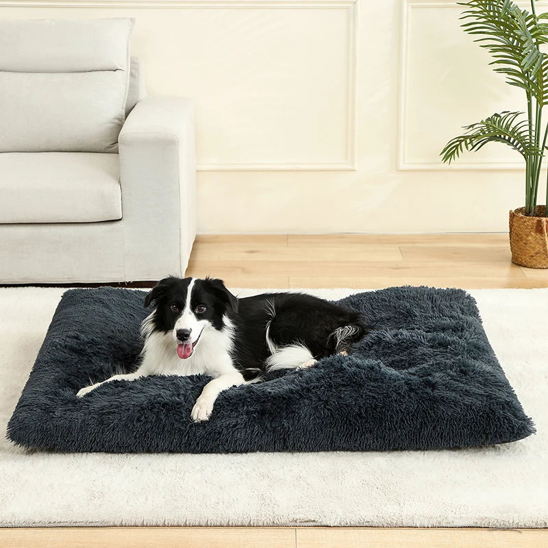 Long Plush Soft Bed