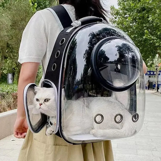 Transparent Space Capsule Backpack
