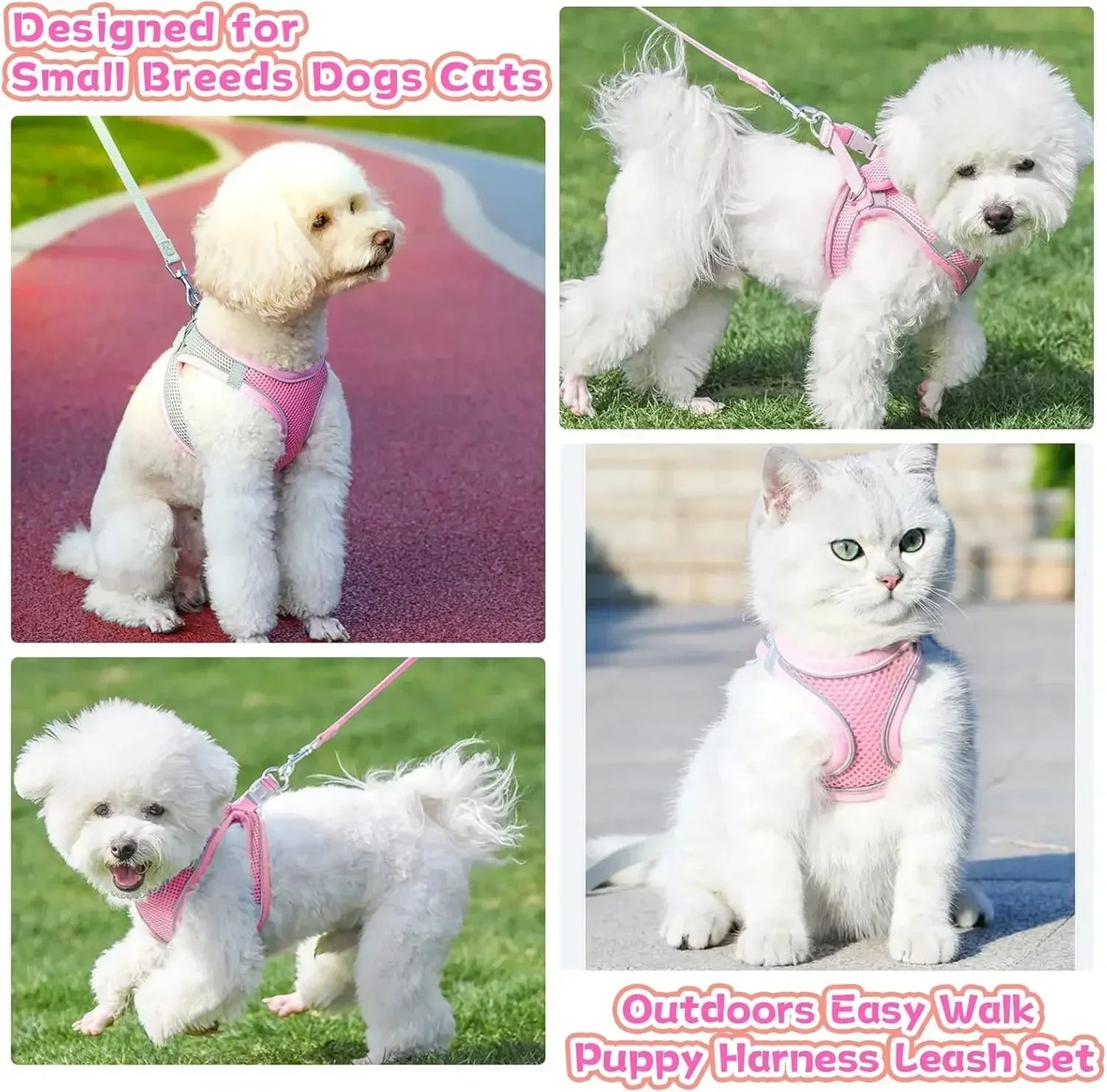 Adjustable Harness Leash Set