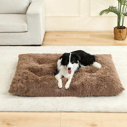Long Plush Soft Bed