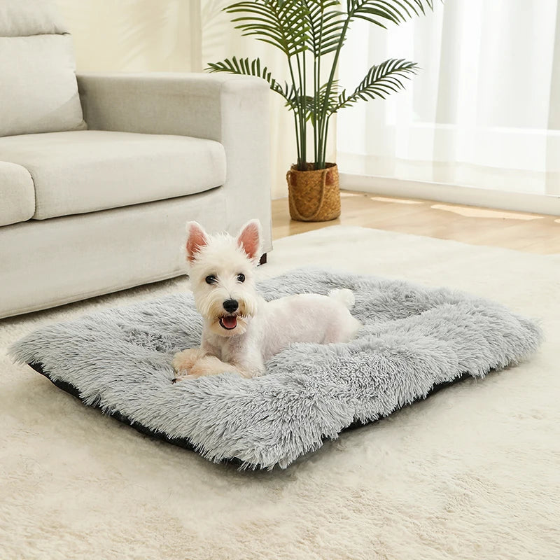 Long Plush Soft Bed