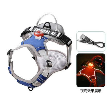 USB Rechargeable LED Harness