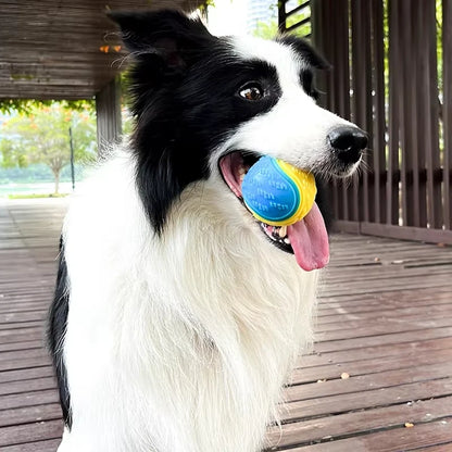 Squeaky Chew Ball