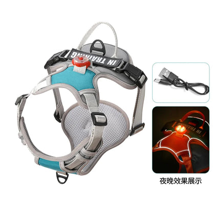 USB Rechargeable LED Harness