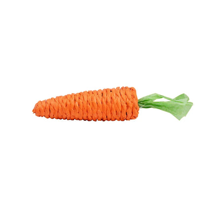 Sound Carrot Toy