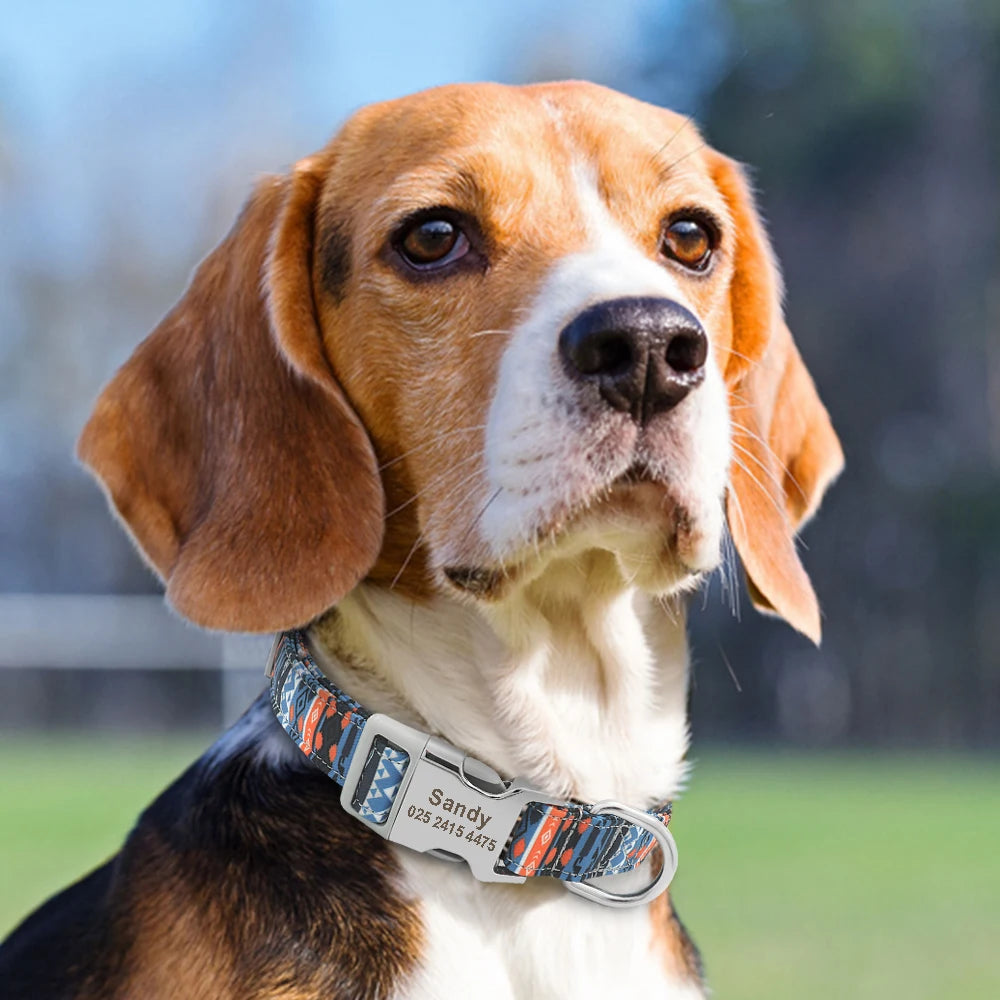 Personalized Nylon Collar
