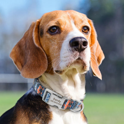 Personalized Nylon Collar