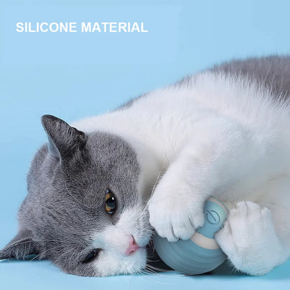 Smart Automatic Rolling Toy