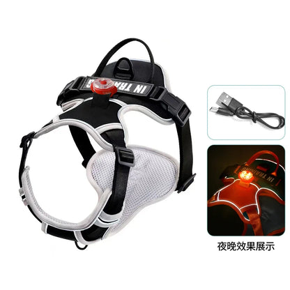 USB Rechargeable LED Harness