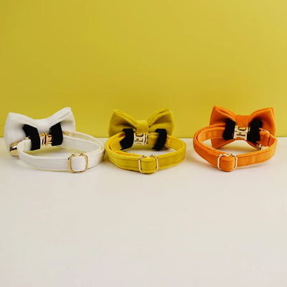 – Personalized ID Tag Collar