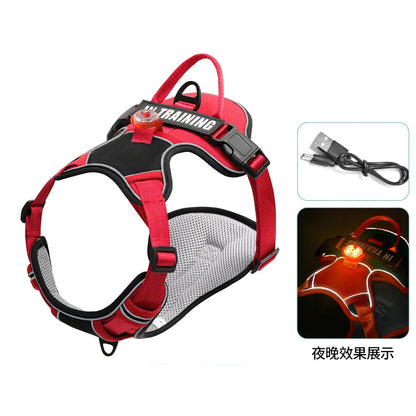 USB Rechargeable LED Harness