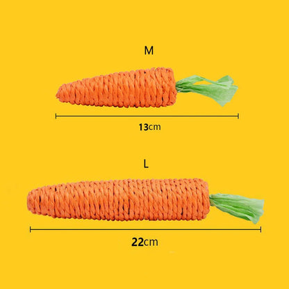 Sound Carrot Toy