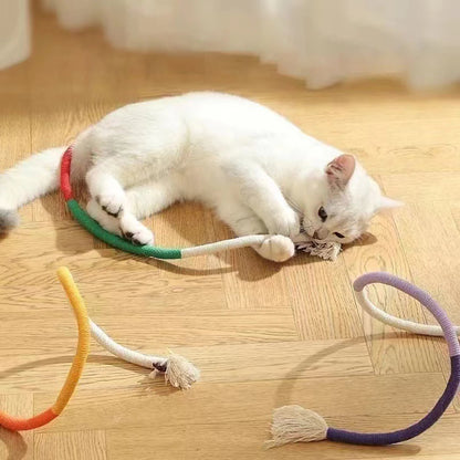 Interactive Catnip Chew Rope Toy