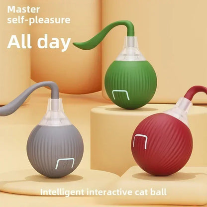 Rechargeable Automatic Rolling Ball Toy
