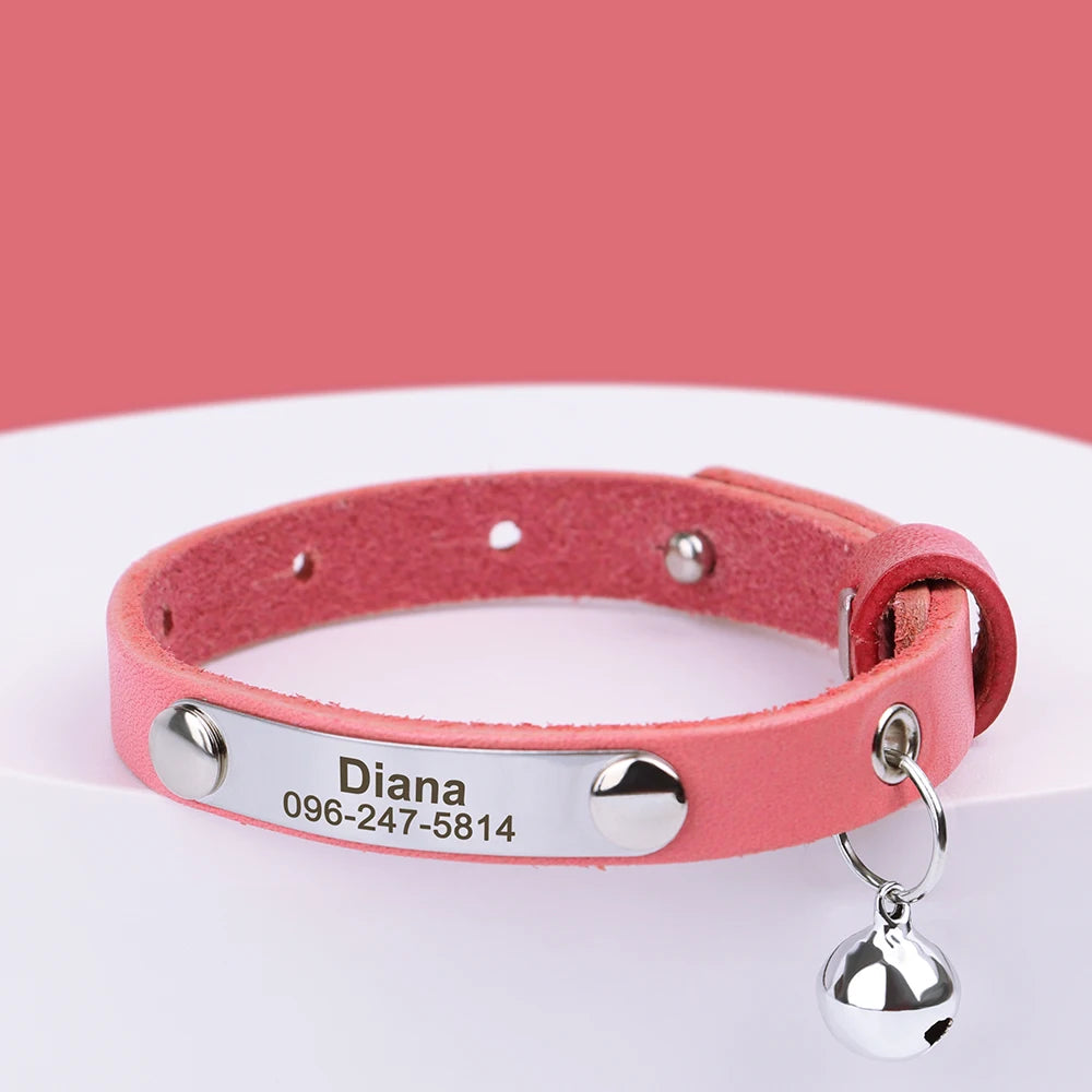 Personalized Leather Collar