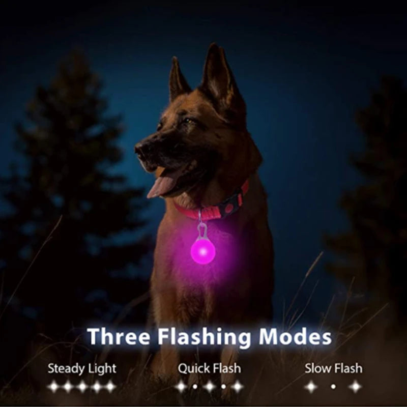 USB LED Glowing Pet Collar