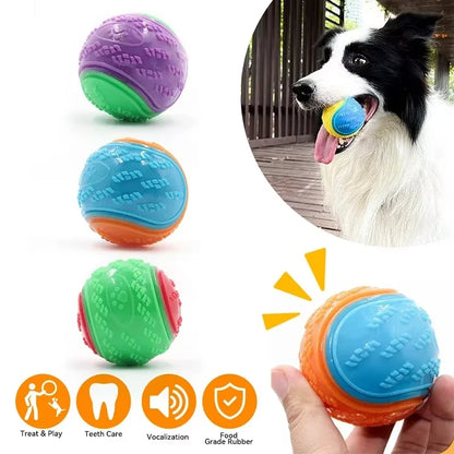 Squeaky Chew Ball