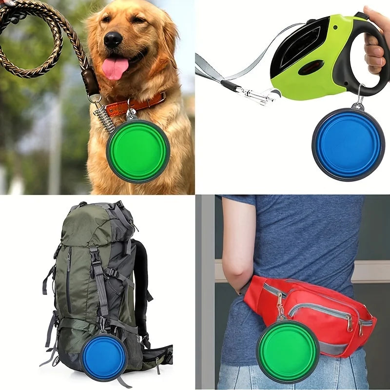 Portable Folding Bow