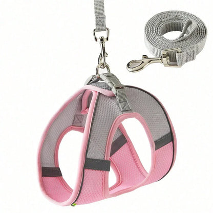 Adjustable Harness Leash Set