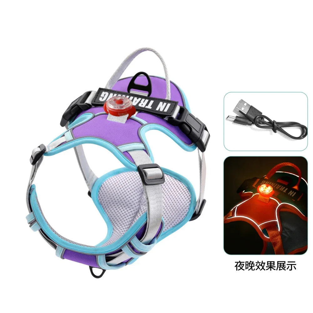 USB Rechargeable LED Harness