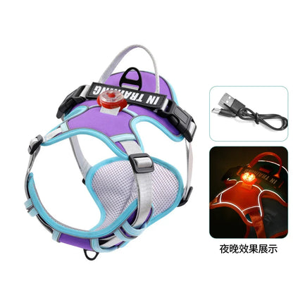 USB Rechargeable LED Harness