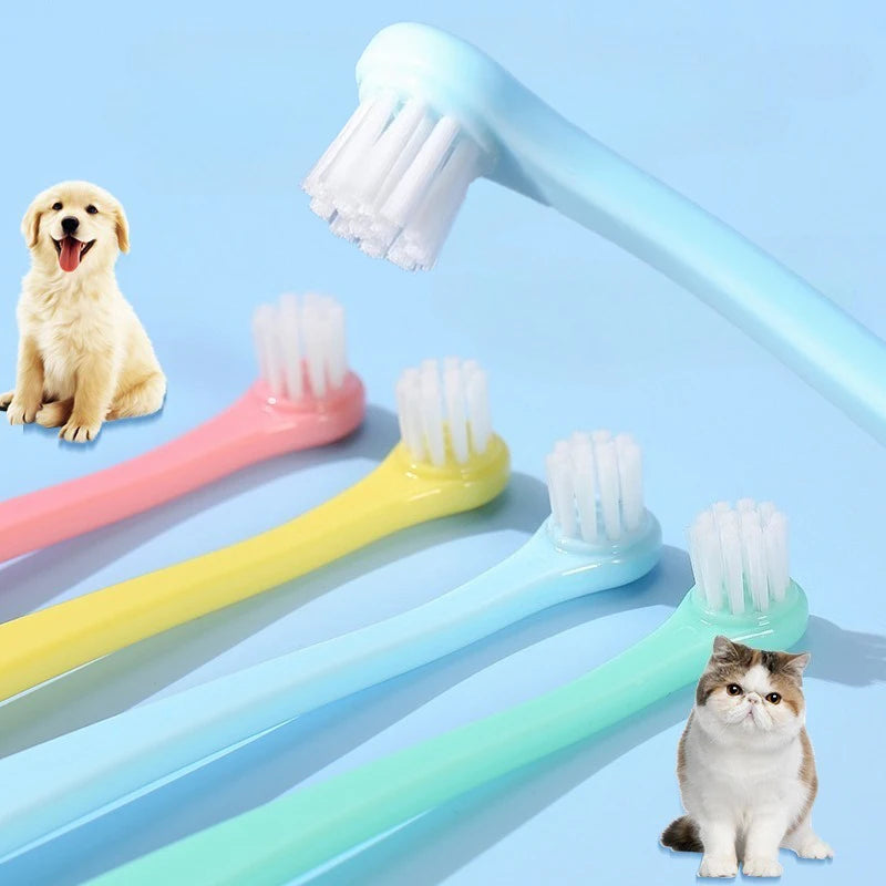 Small Head Toothbrush