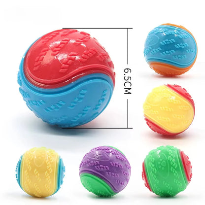 Squeaky Chew Ball