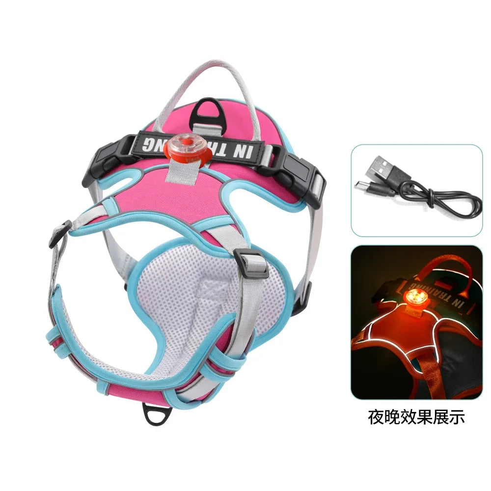 USB Rechargeable LED Harness