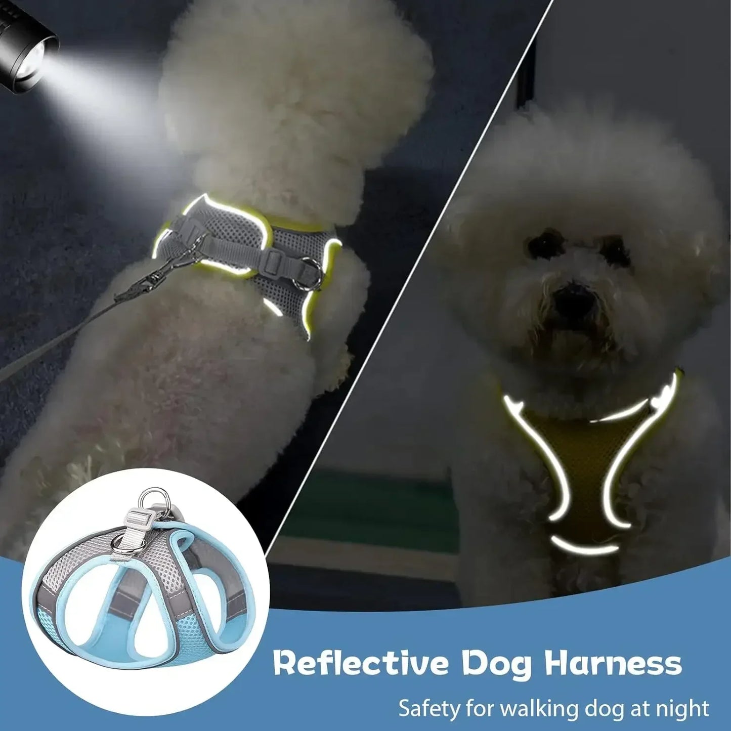 Adjustable Harness Leash Set